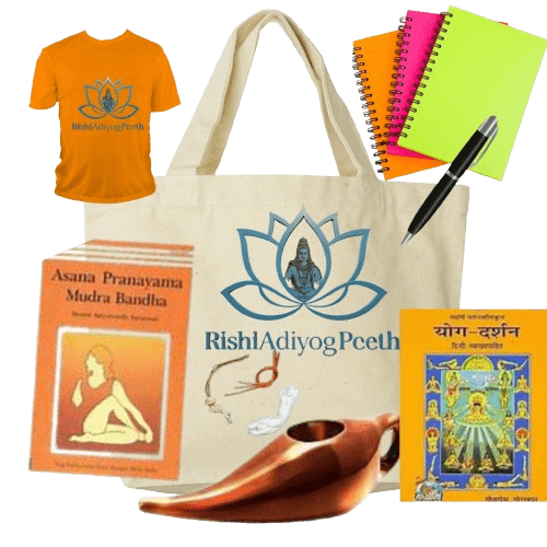 a asana book, yog sutra book a bag 1 t-shirt, 3-notebook ,1-pen