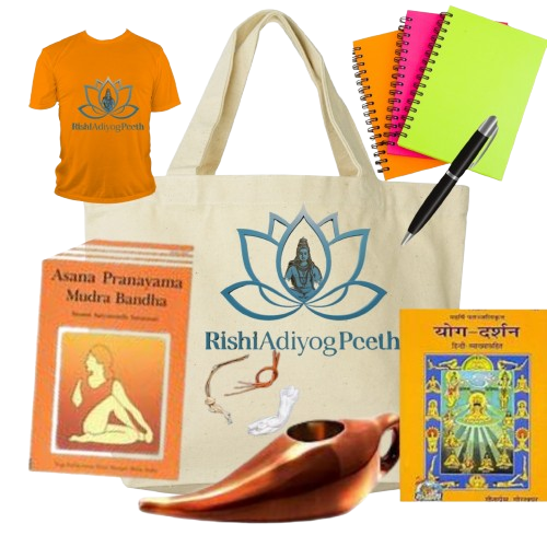 a asana book, yog sutra book a bag 1 t-shirt, 3-notebook ,1-pen