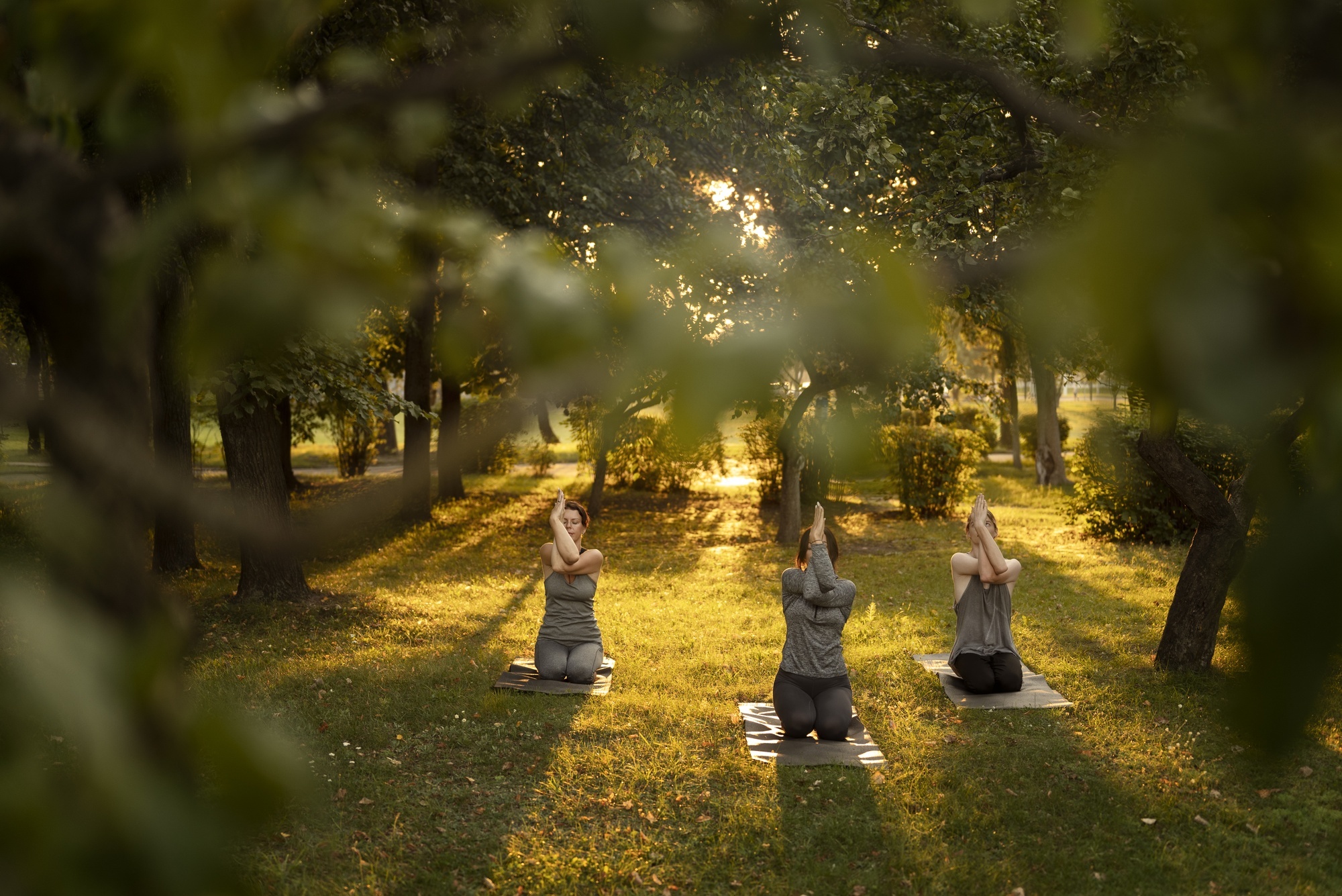 A wide-angle view of women meditating in a natural setting.